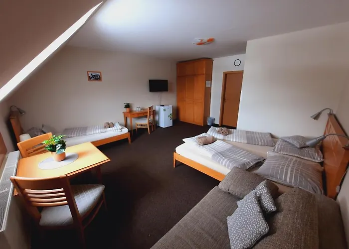 Sportcentrum Klinovec ゲストハウス 3*