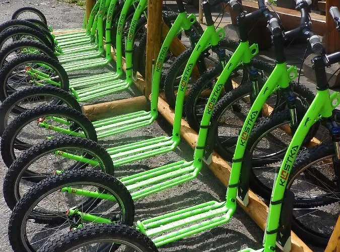 Sportcentrum Klinovec ゲストハウス Loučná pod Klínovcem